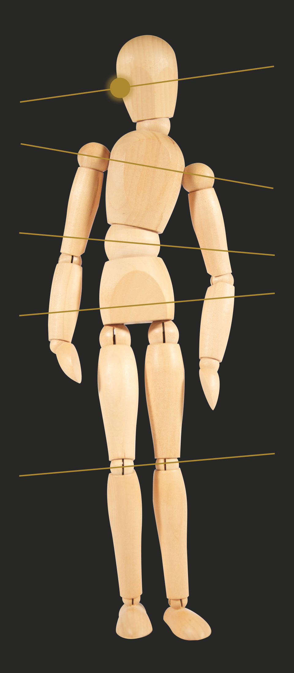 Gliederpuppe Fehlstellung und korrekte Körperhaltung